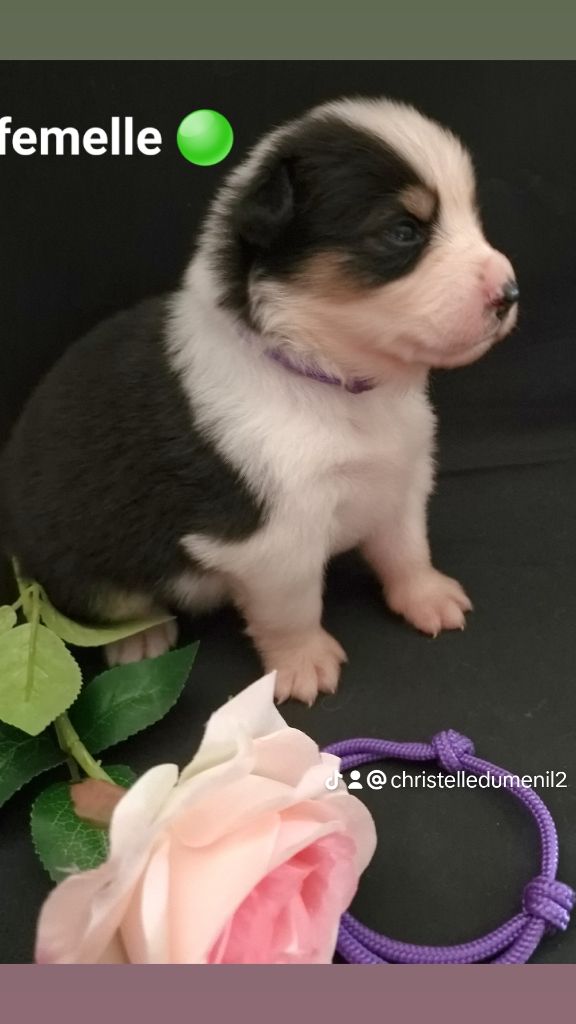 Bébé Malone et de ora